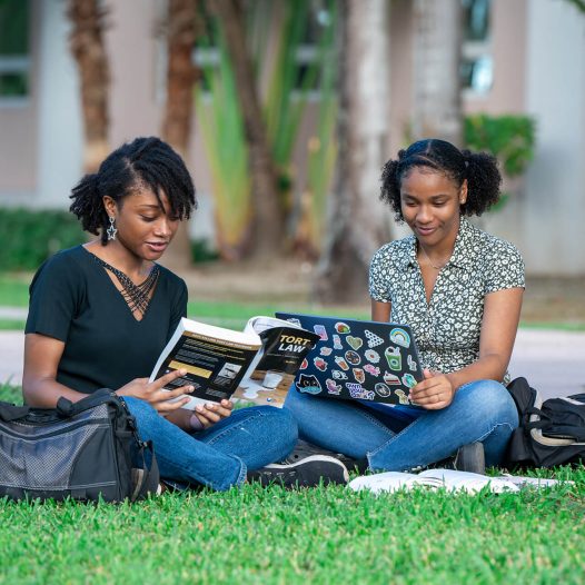 Discover Your Degree Progammes