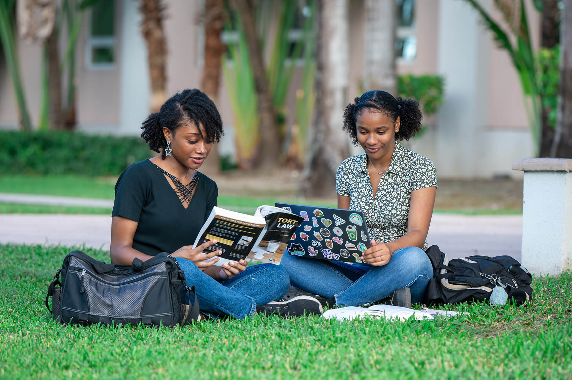 Discover Your Degree Progammes Discover Your Degree Progammes