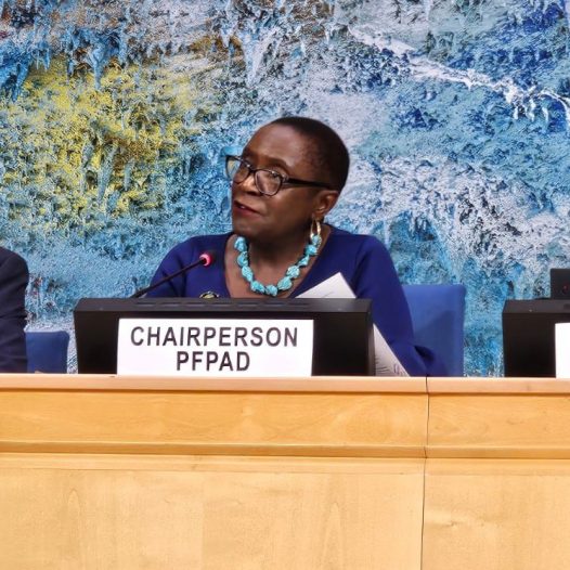University of The Bahamas Scholar Heads UN Permanent Forum on People of African Descent